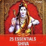 25 Essentials - Shiva - Vijay Prakash Song Download